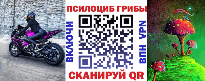 наркошоп  площадка официальный сайт  Псилоцибиновые грибы Cubensis  Козельск 